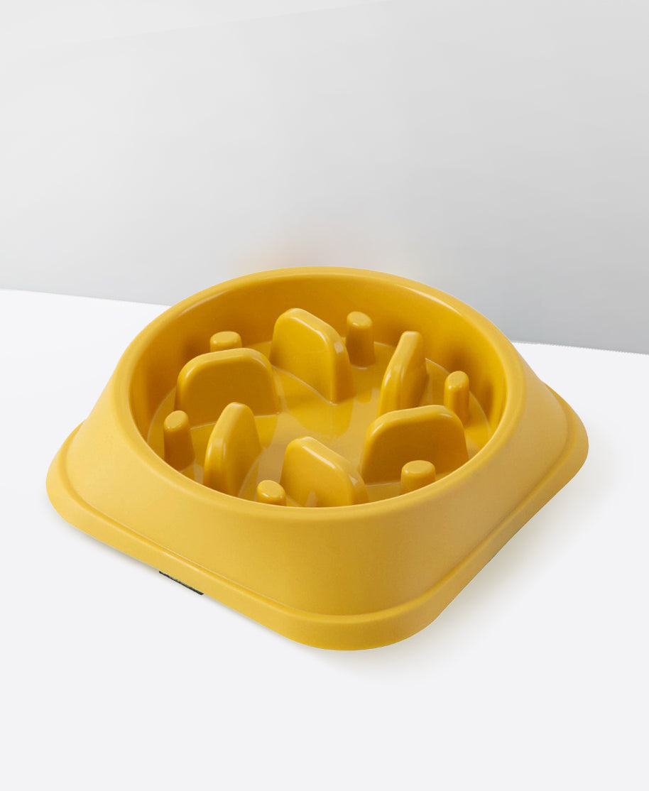 Radial Maze Slow Feeder Bowl