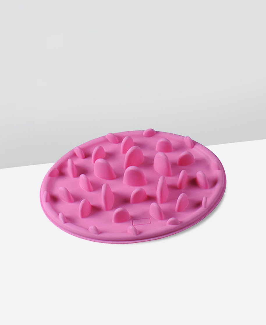 Cactus Slow Feeder Mat