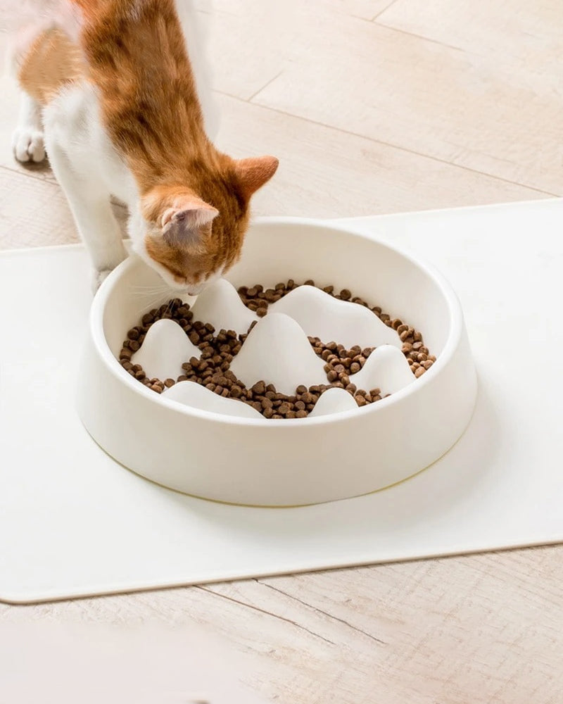 Snack Summit Slow Feed Pet Bowl