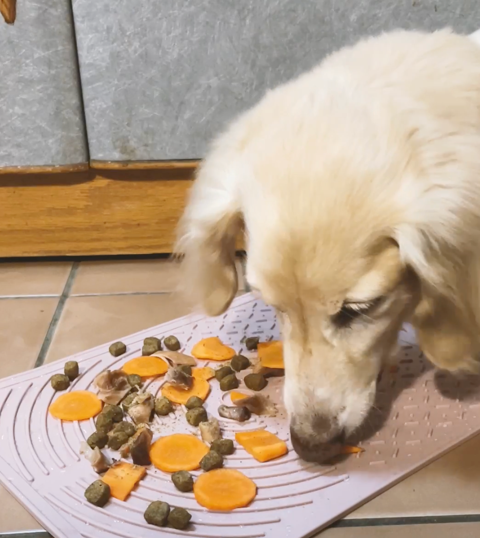 Portable Pet Licking Mat