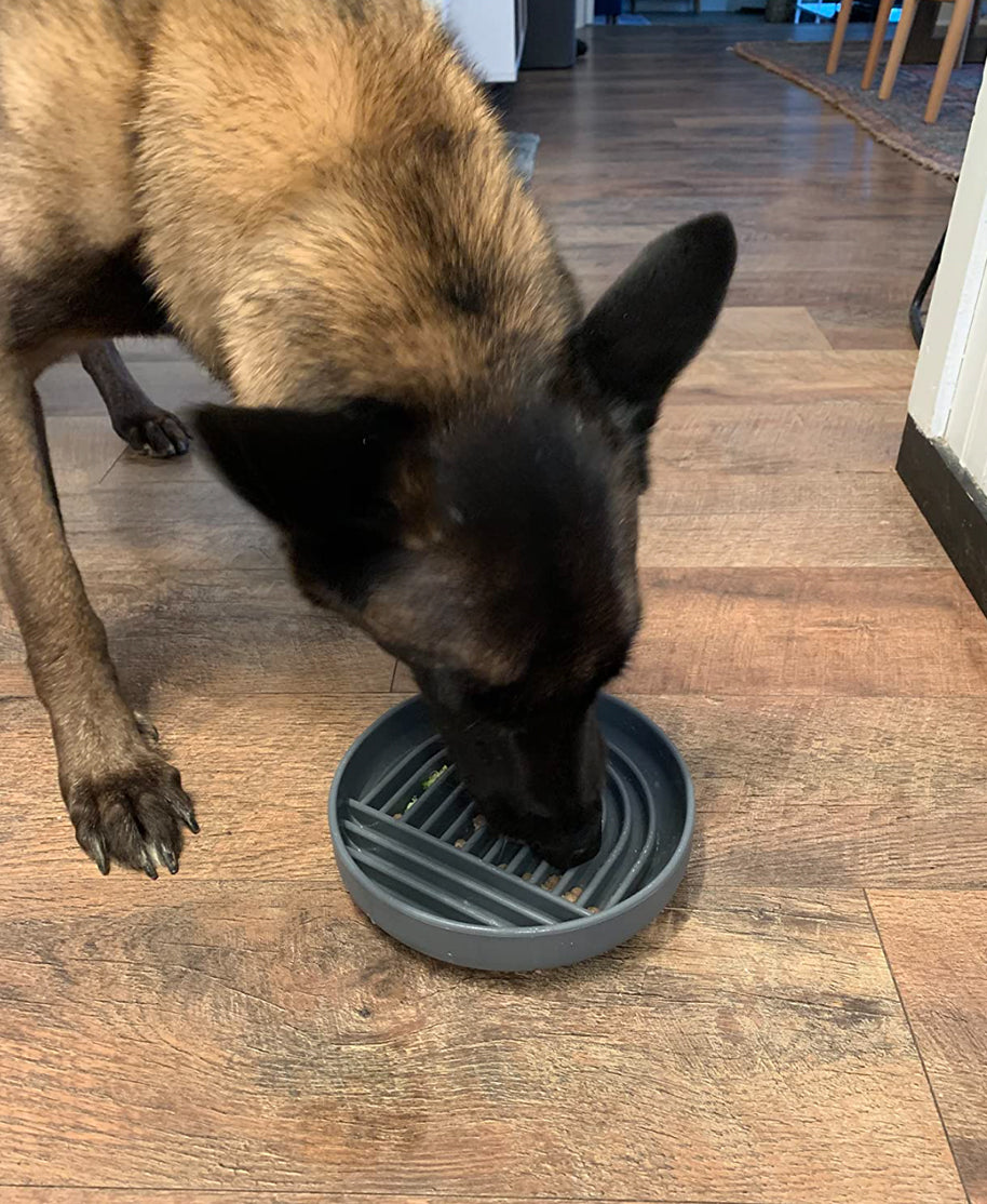 Silicone Puzzle Lick Bowl