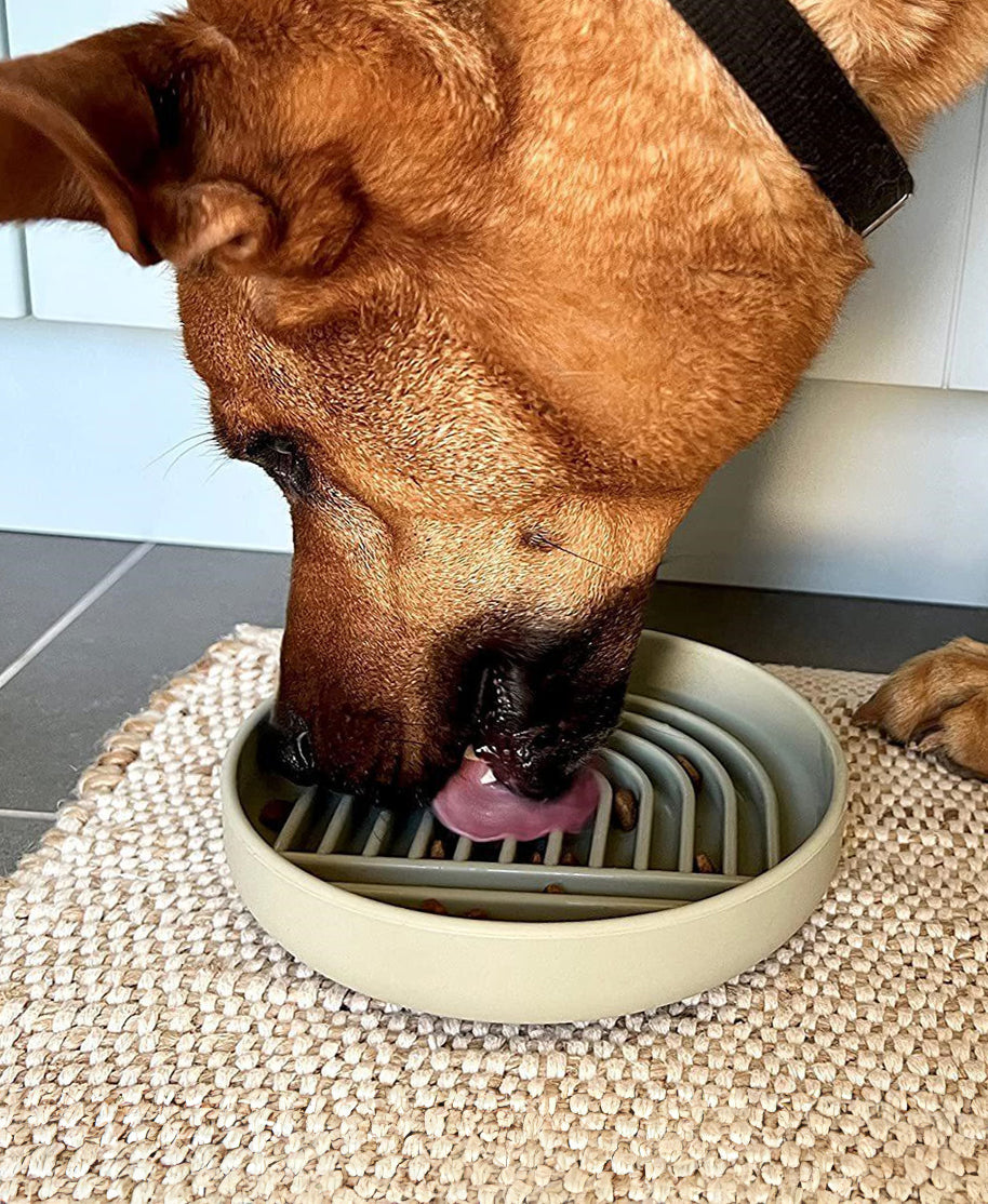 Silicone Puzzle Lick Bowl