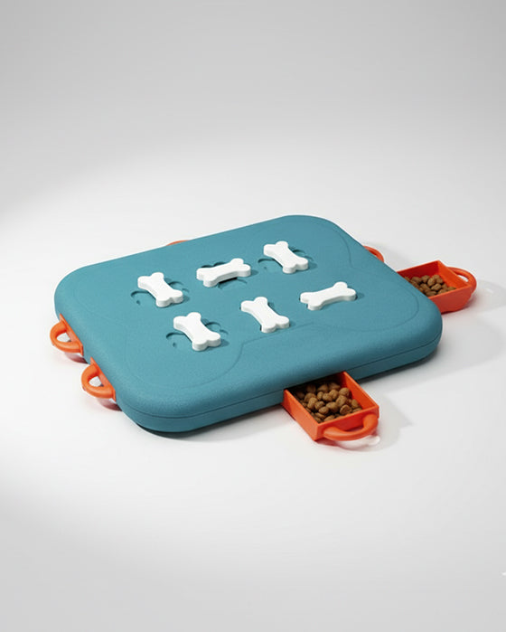 Pet Casino Treasure Hunt Puzzle