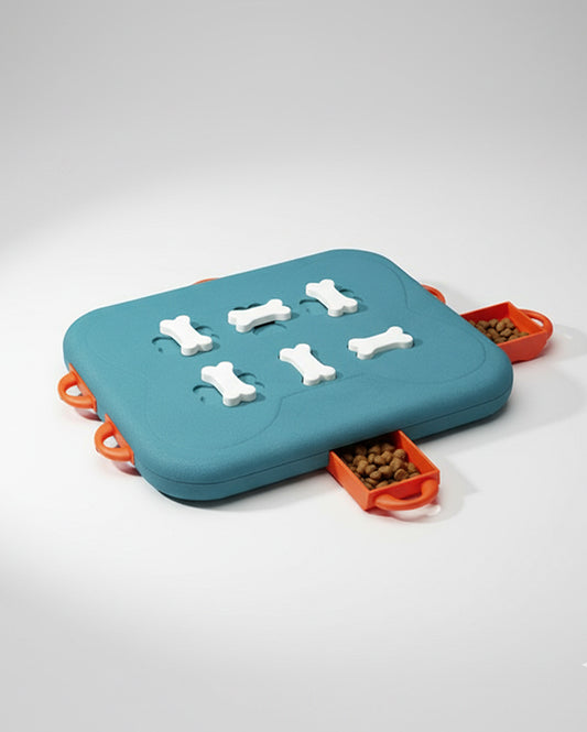 Pet Casino Treasure Hunt Puzzle