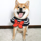 Pet Pretty Soldier Sailor Moon Collar