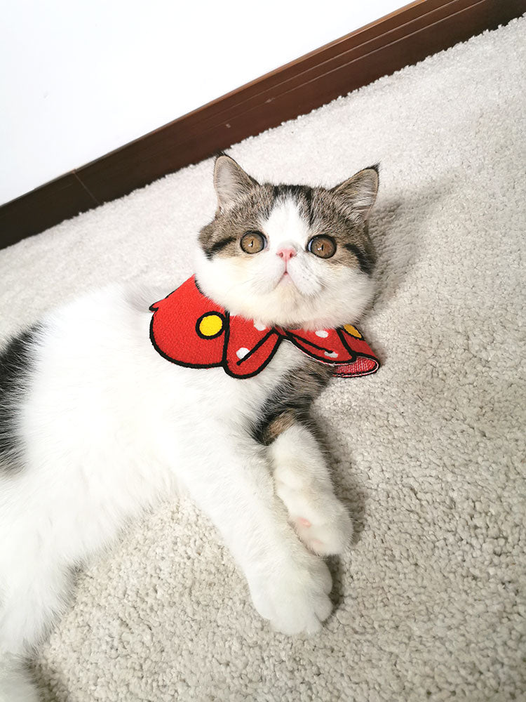 Pet Pretty Soldier Sailor Moon Collar