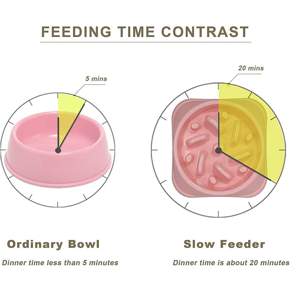 Slow Feeder Bowls