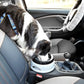 No-Slip Pet Water Bowl