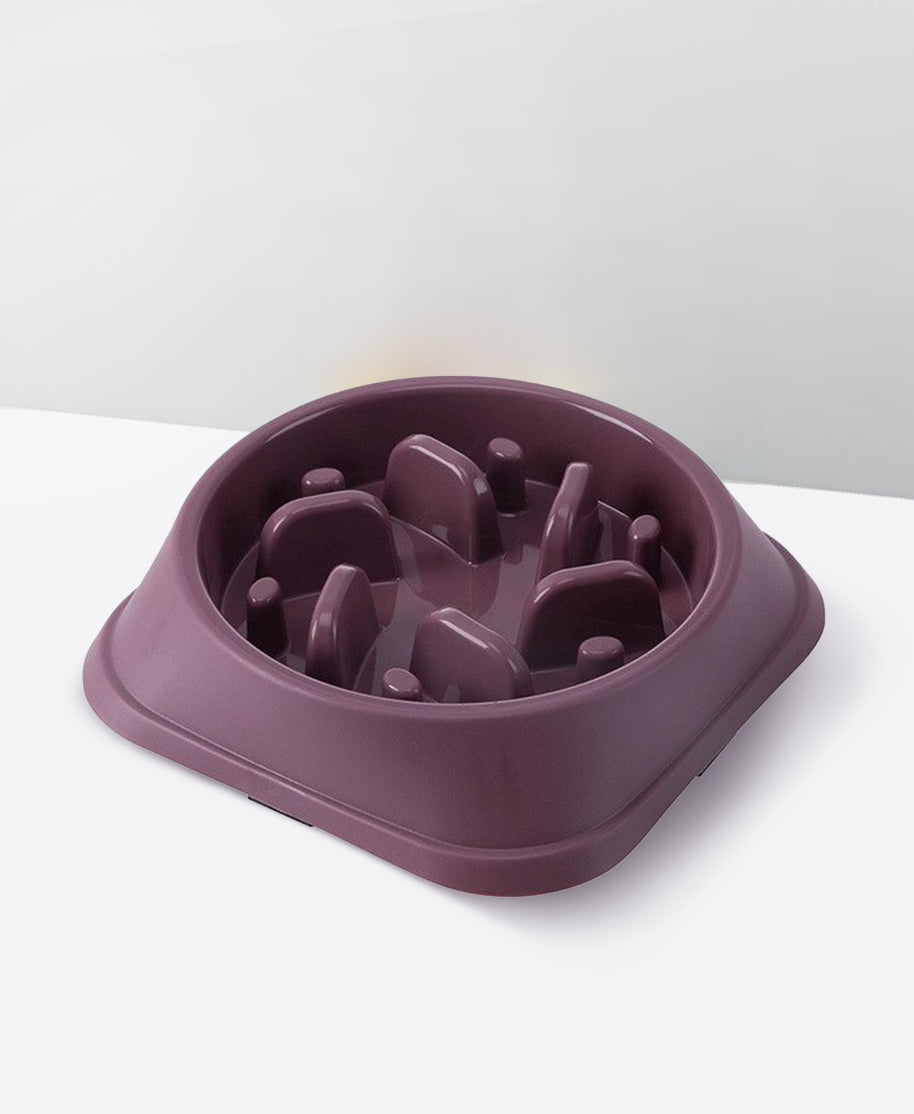 Dog Maze Slow Feeder Bowl