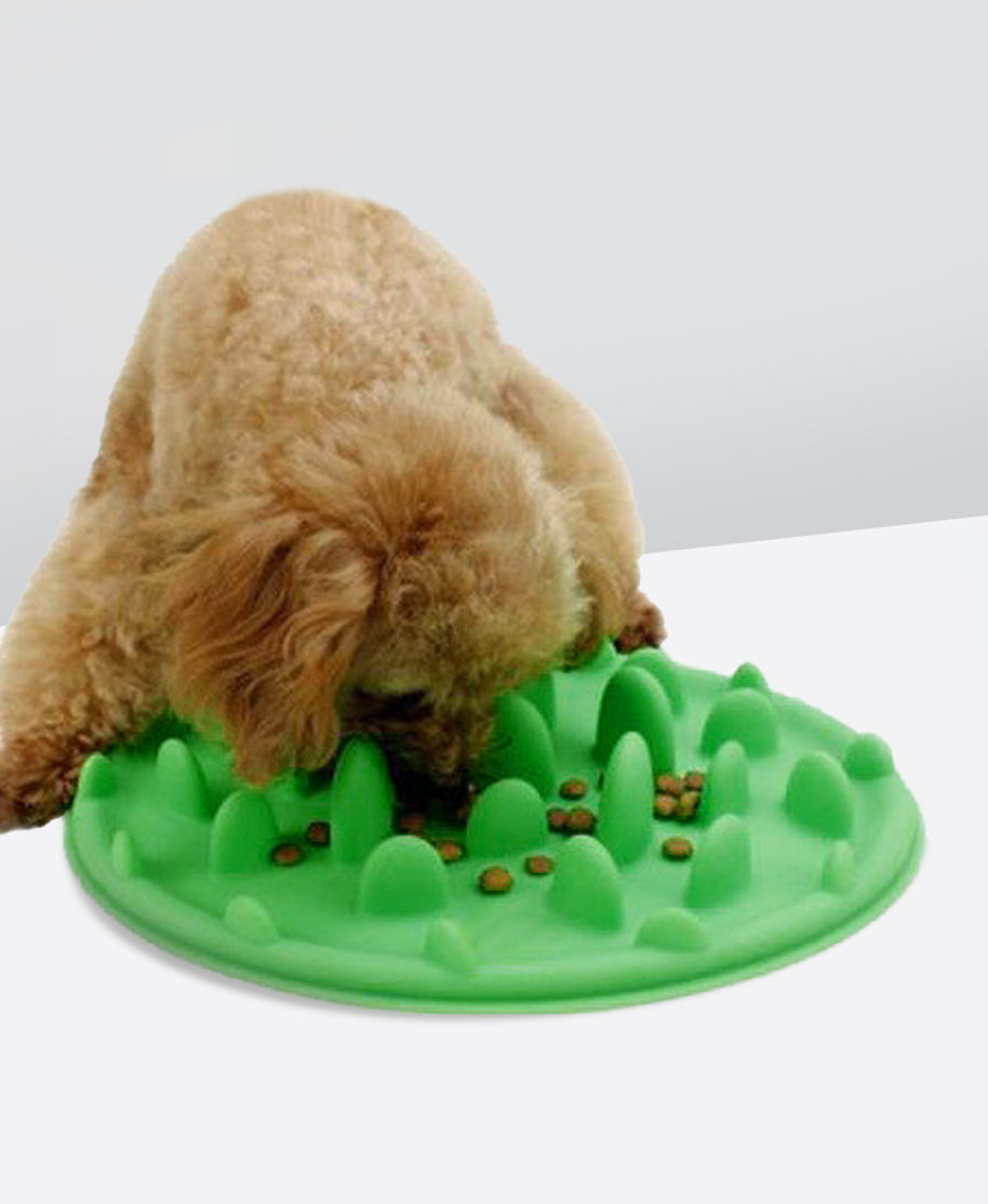 https://rayggle.com/cdn/shop/products/lickingpad-greendog.jpg?v=1670432485