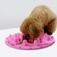 Cactus Slow Eating Mat