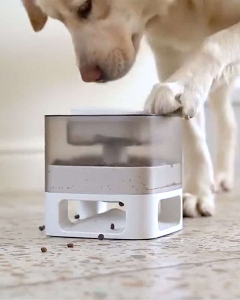 Time release clearance dog treat dispenser