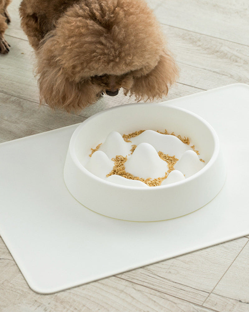 Pet Slow Food Bowl