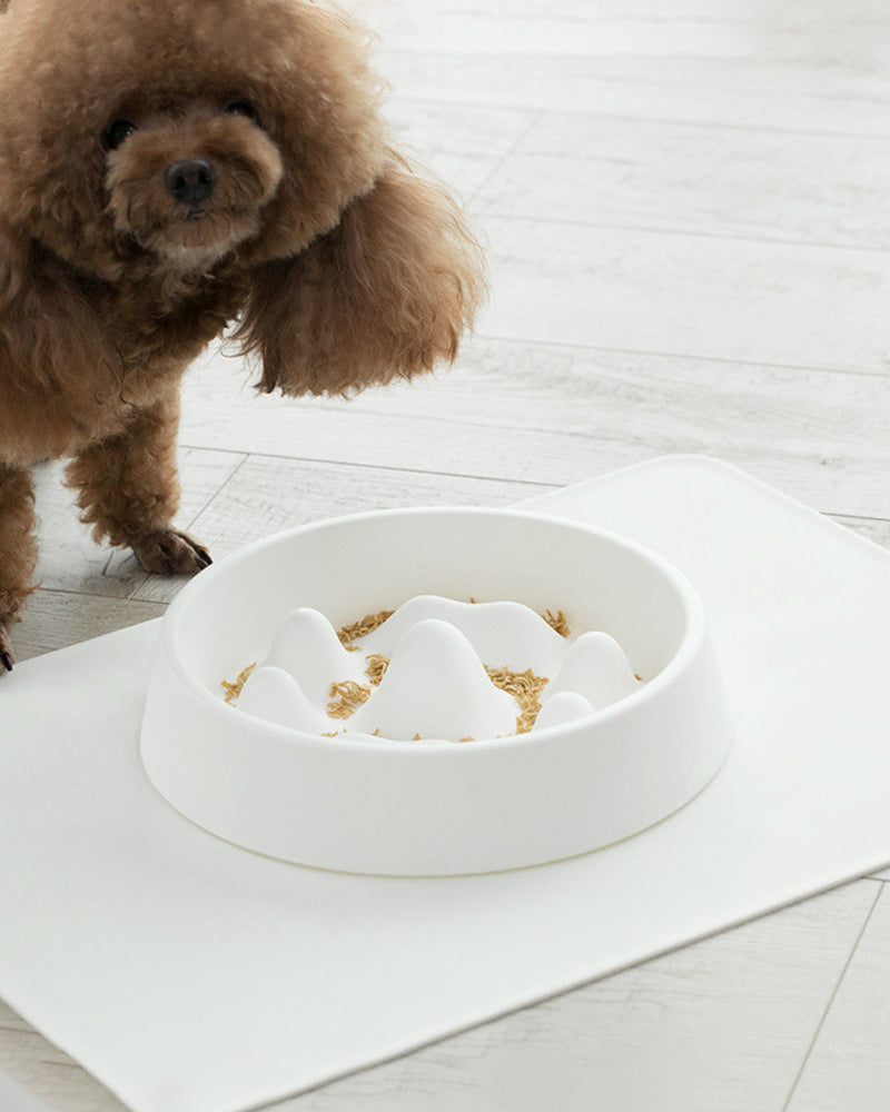 Pet Slow Food Bowl